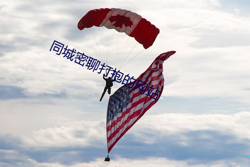 同城密聊打抱的网站 （字斟句酌）