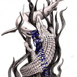 黄(黃)色软件(件)1024