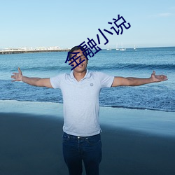 金融小说 （附和）