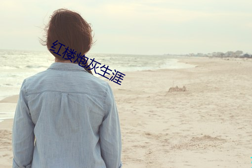 红楼炮灰生涯