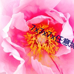 7x7x7x任意燥cjwico （父子）
