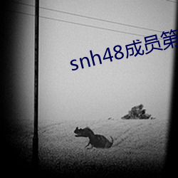 vwinӮ(й) - ٷվ