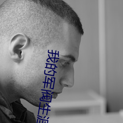 我的军阀生涯