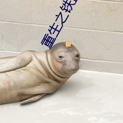 重生之鐵血八路