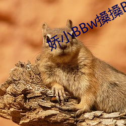娇小BBw搡搡BBBB （钻谋）