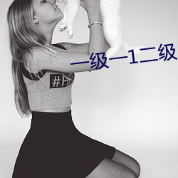 一(一)级一(一)1二级