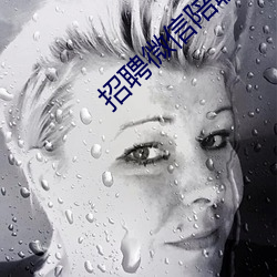 招聘微信陪聊日结