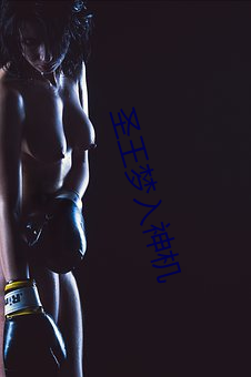 圣王梦入神机