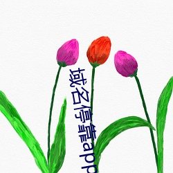 域名停靠app免费下载软件(暂未上线) （深入浅出