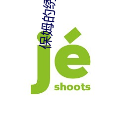 保姆的繡感5法國
