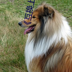 尊龙凯时·(中国)官方网站