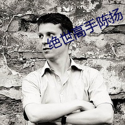 绝世高手陈扬