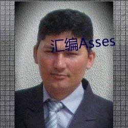 汇编Asses