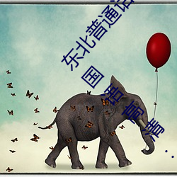 東北普通話刺激對白國語高清(東北普通話刺激對白國語高清: