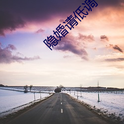 隐婚请(qǐng)低调