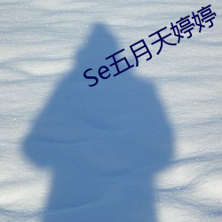 Se五月天婷婷