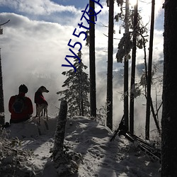 yy55t夜月(月)直播app