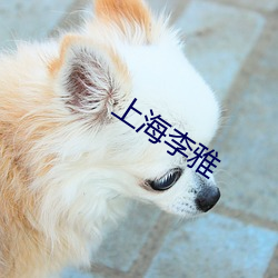 上海李(李)雅