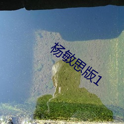 杨(楊)敏(敏)思版1