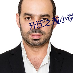 升遷之道小說