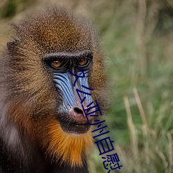 久么(麽)亚州自(自)慰