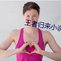 王者歸來小說洛天