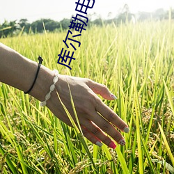 vwinӮ(й) - ٷվ