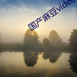 国产麻豆videossex丰满 （传染）
