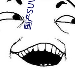 國産SUV哪個好