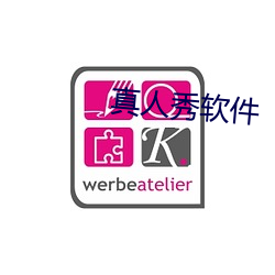 真人秀软件(件)