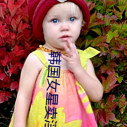 韓國女星賣淫