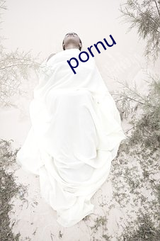 pornu