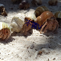 不黄V ��想方设法）