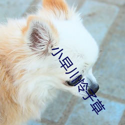 小早川怜子草