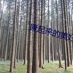 suncitygroup太阳集团--官方网站