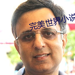 完美世界小說下載