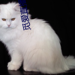觅爱直播(b¨)app免费下(xià)