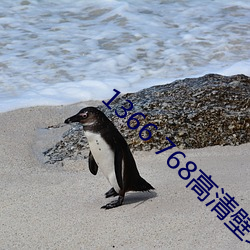 1366 768高清壁紙