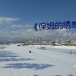 《保姆的绣感》 （家具��