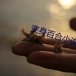 變身百合小說