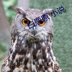 白鹿原(原) 小说