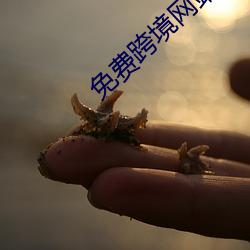 金年会(中国)官方网站
