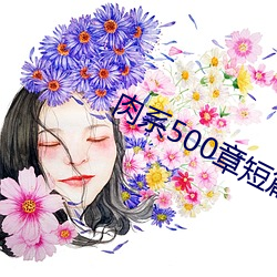 肉系500章短篇txt