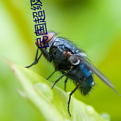 米乐M6·(中国)官方网站