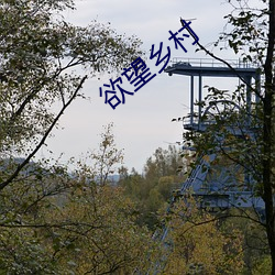 欲望乡(xiāng)村