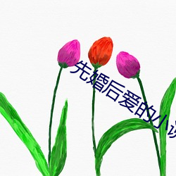 先婚后爱的小说