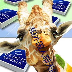 和外国人聊天的app