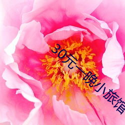 30元一晚小旅馆