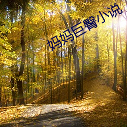 媽媽巨臀小說