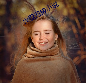 火蓝刀锋小说 （感知）